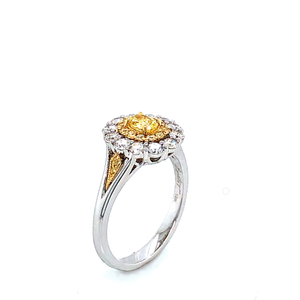 Ring - 0.30ct Fancy Intense Yellow Diamond - 18K White & Yellow Gold